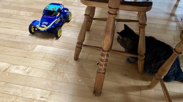 The Holiday Buggy is tooling around my living room. My cat stares in impotent rage.